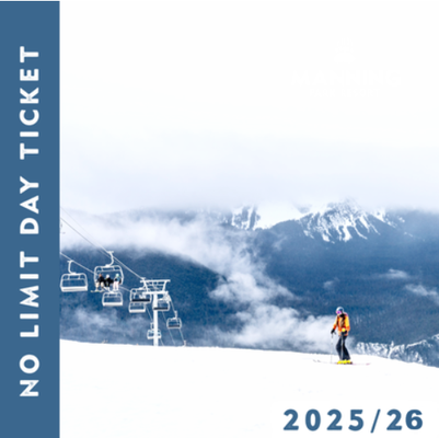 No-Limit Day Ticket