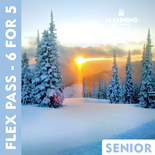 Alpine Flex Pass - Senior