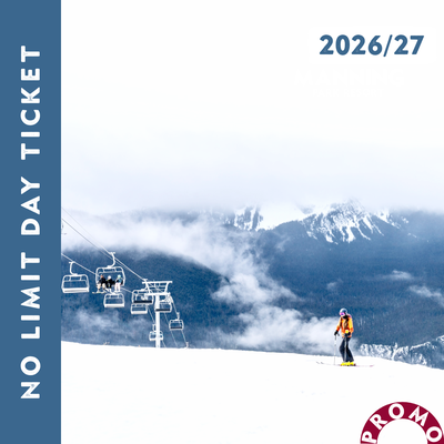 No-Limit Day Ticket