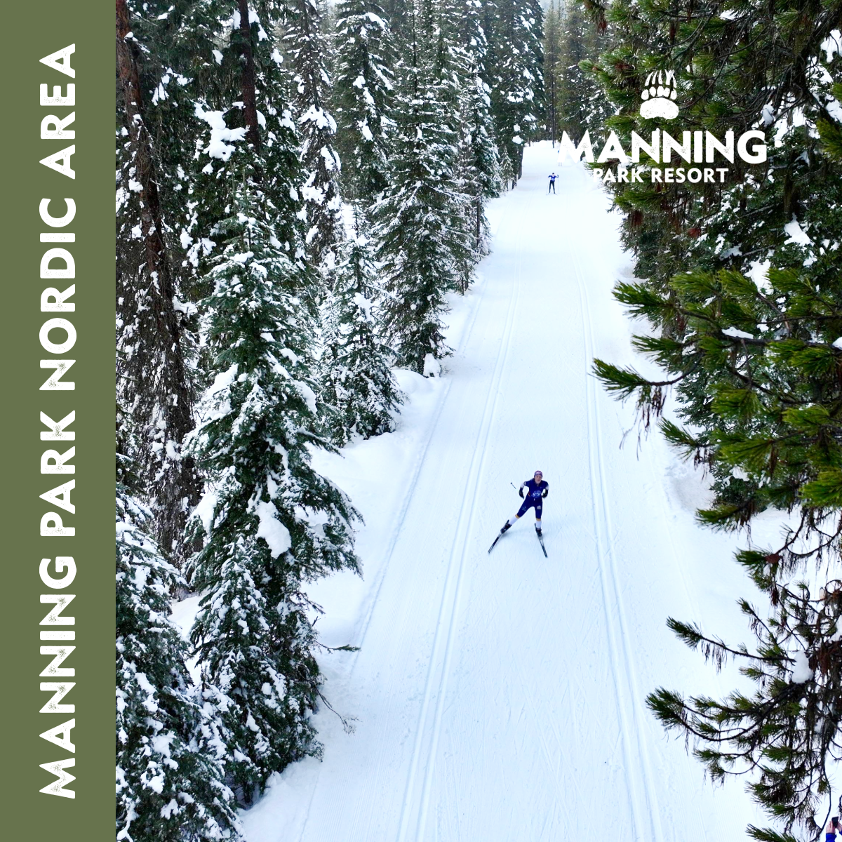 Cross country Skiing (Nordic)