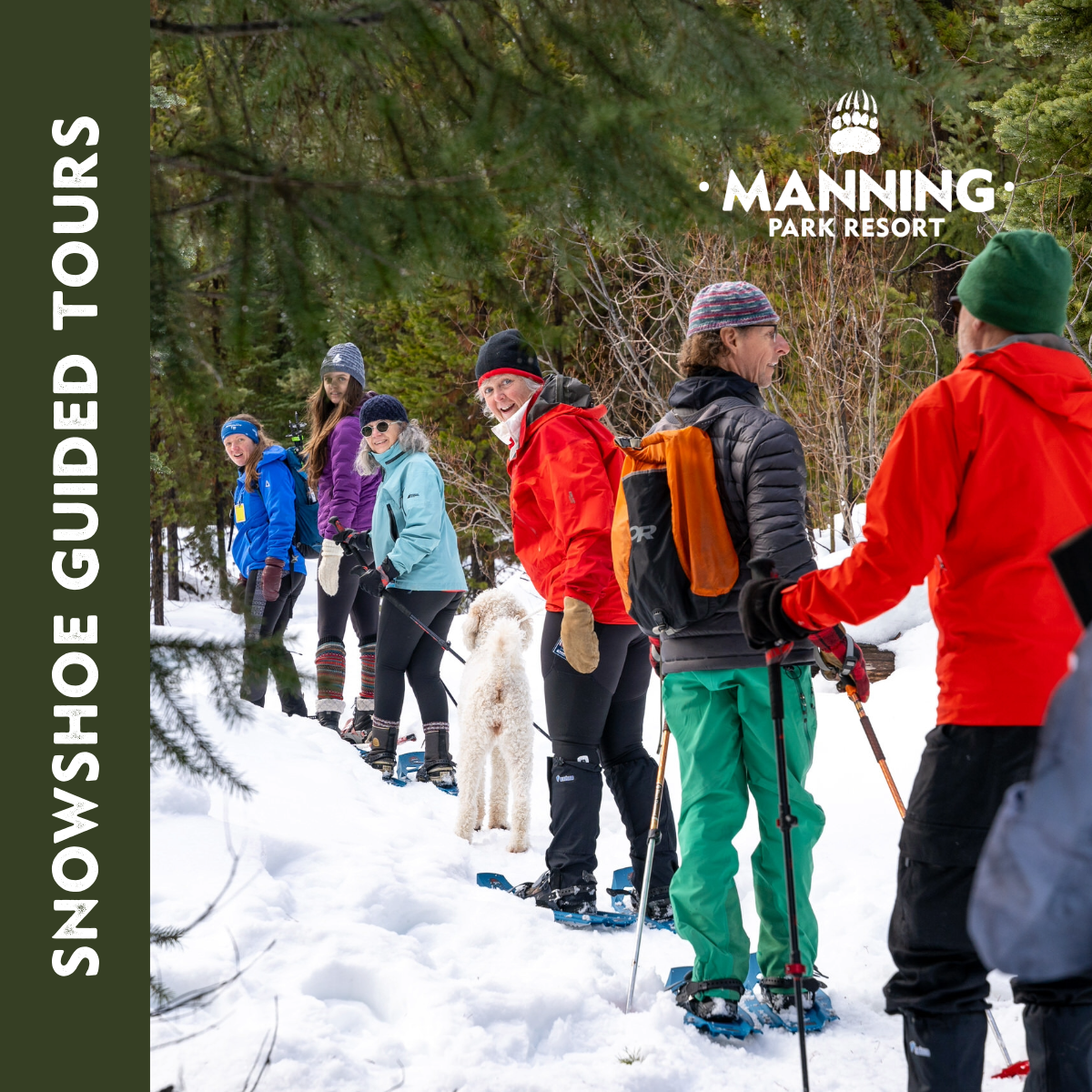 Snowshoe Guided Tours